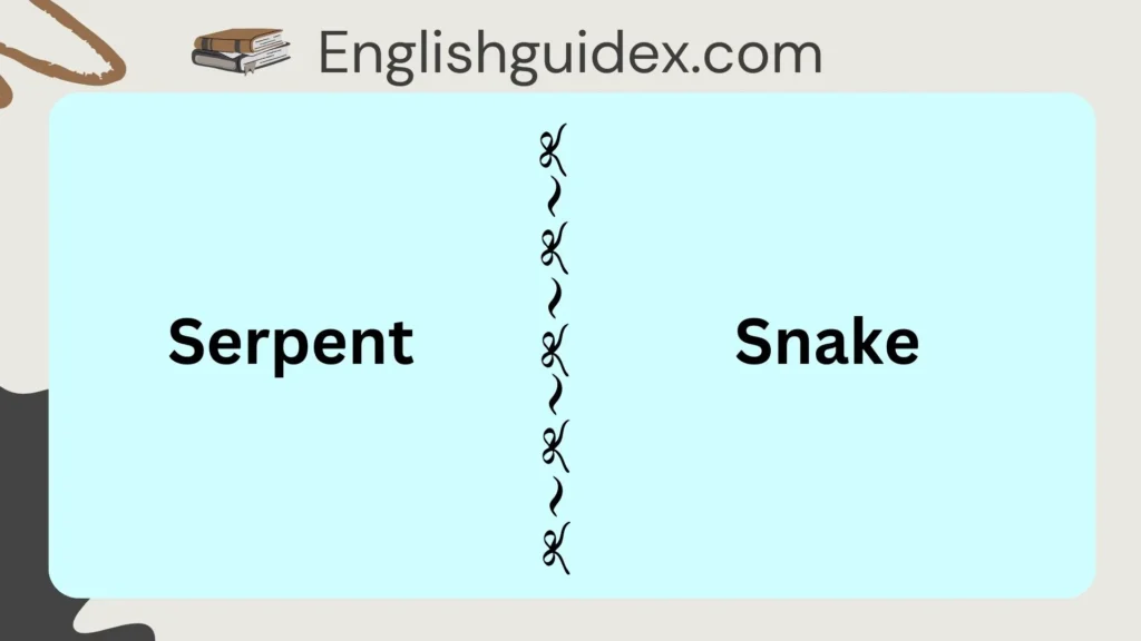 Serpent vs Snake