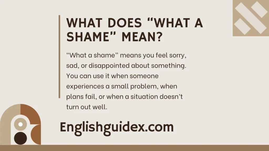 What Does âWhat a Shameâ Mean?
