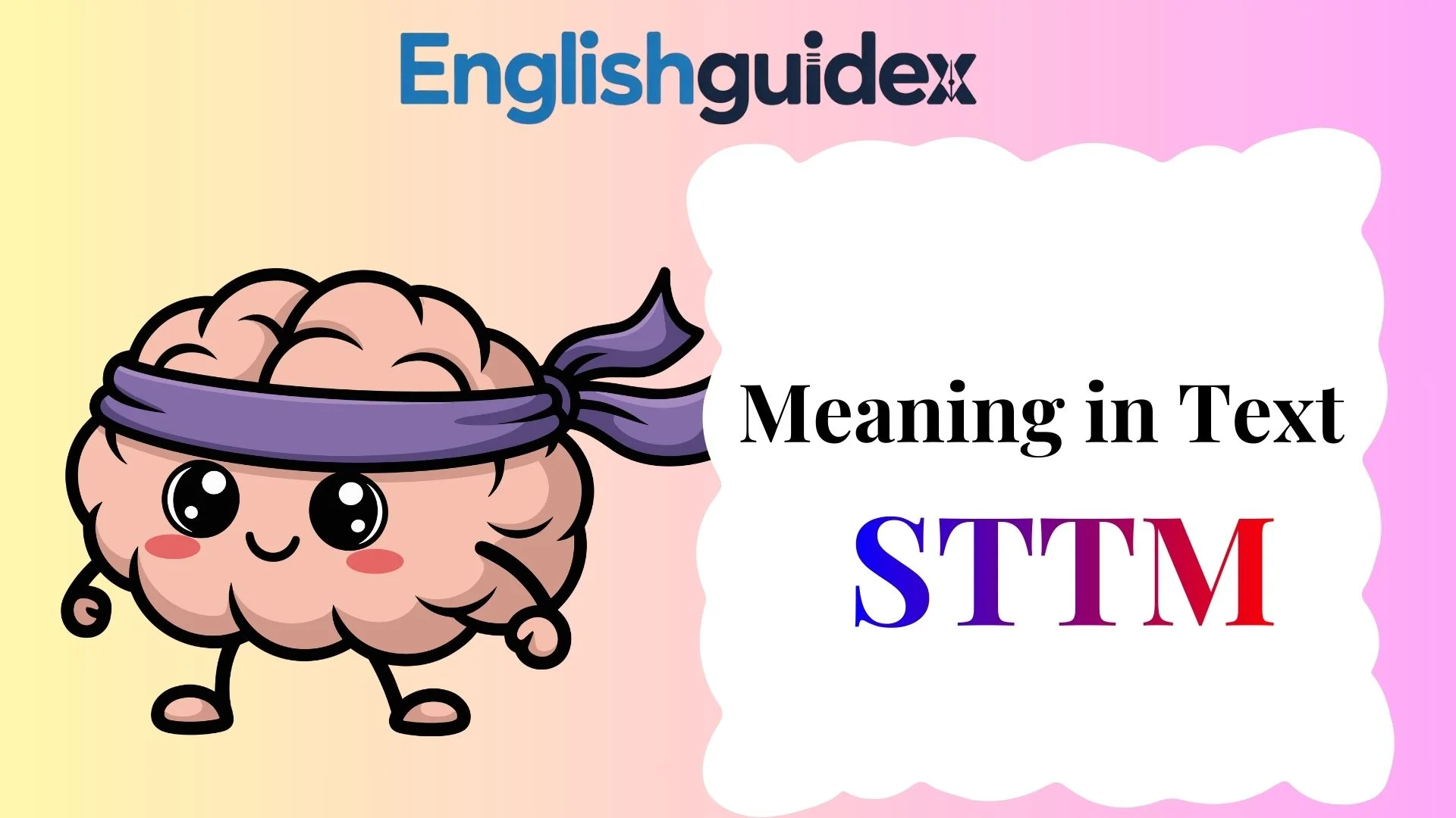 STTM Meaning in Text