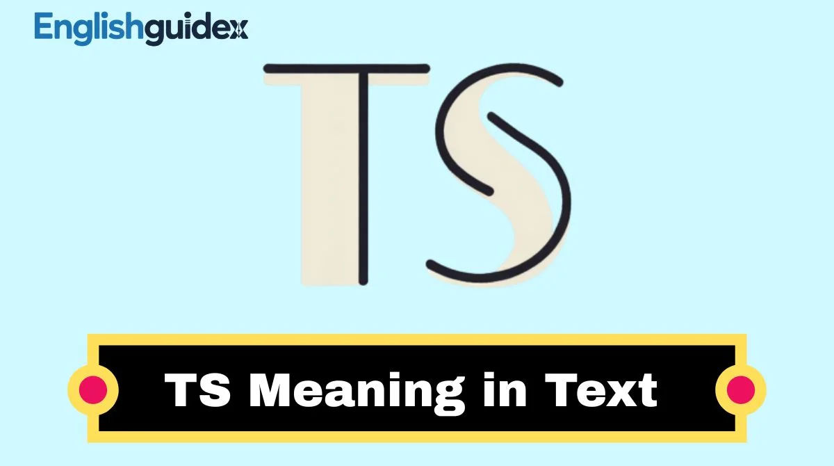 TS Meaning in Text