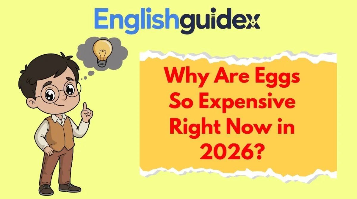 Why Are Eggs So Expensive Right Now in 2026?