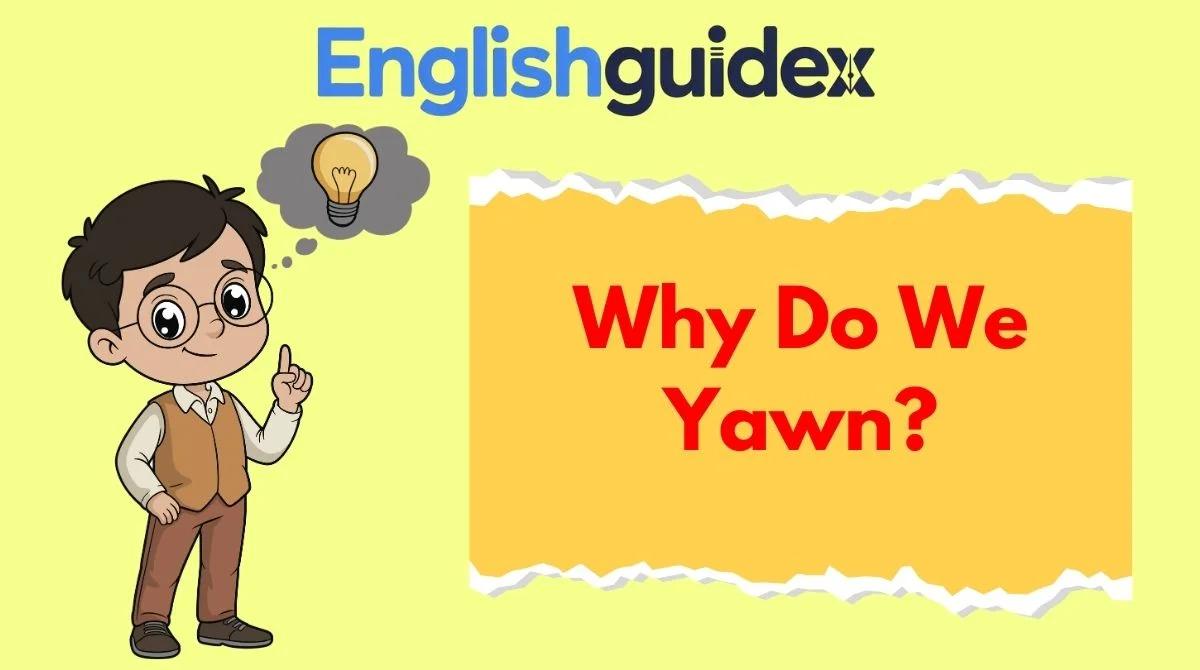 Why Do We Yawn?