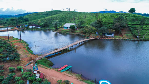 Seagot Banasura Resort for Your Ultimate Kerala Escape