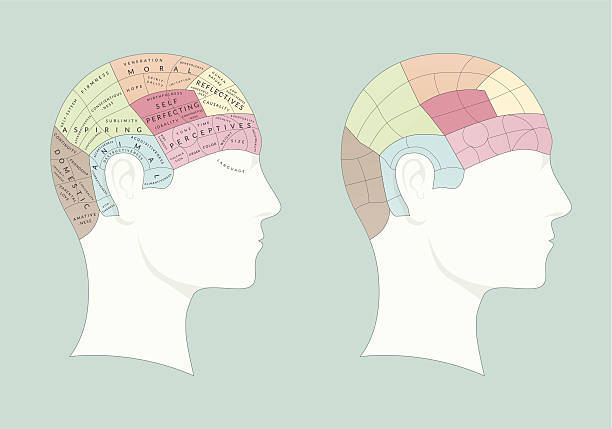 A Journey Through Knowledge